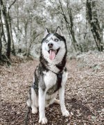 mega_61845cf926aa69426dc2be1265e02b54.jpg mega_61845cf926aa69426dc2be1265e02b54.jpg