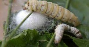 1645712810123.jpeg 1645712810123.jpeg