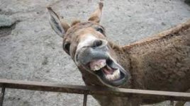 1645713623595.jpeg 1645713623595.jpeg