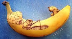 1645714295793.jpeg 1645714295793.jpeg