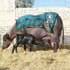 1650139647881.png 1650139647881.png